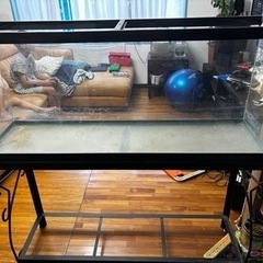 1200薄型水槽の画像