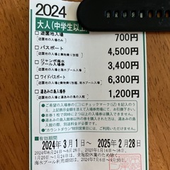 ナガシマ割引チケット購入券