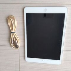 Apple iPad