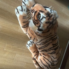 とら
