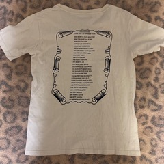 ストレイテナーLIVE Tシャツ&タオルセットの画像