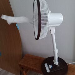 フィフティ フォレストライフ DCモーター搭載 30cmリビング扇風機(リモコン)(風量12段階) 切タイマー付 SF-DCW301DWの画像