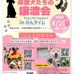 8/25 保護犬猫の譲渡会in奈良県橿原市