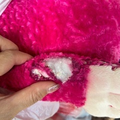 ディズニーぬいぐるみの画像