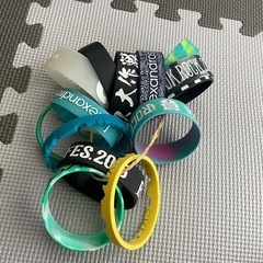 フェス、アーティストラバーバンド
