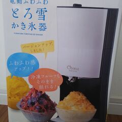 【値下げ】新古品　DOSHISHA　とろ雪かき氷器