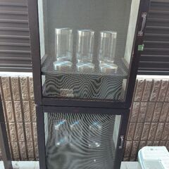 虫の飼育小屋　大♪カブトムシ、クワガタ、鈴虫など