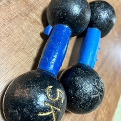 鉄アレイ5キロ×2個