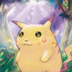 ポケモンだいすきクラブ(ポケカ)