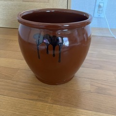 梅干しかめ