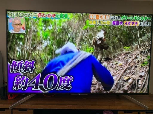 ★ジャンク品★2018年製　SONY BRAVIA55型