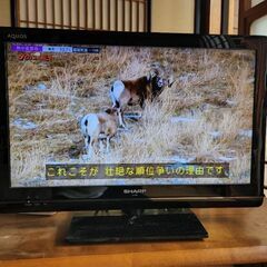 中古　液晶テレビ　SHARP　AQUOS　