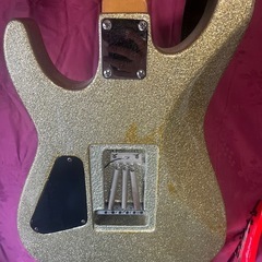 Bill Brothers エレキギター