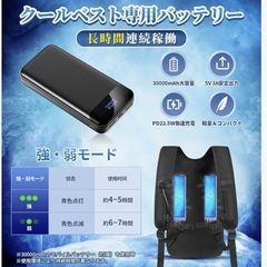 【夏物最終SALE】冷却ベストの画像