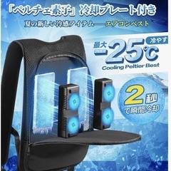 【夏物最終SALE】冷却ベストの画像