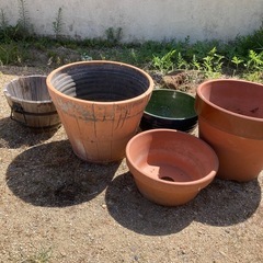 植木鉢　色々　まとめて
