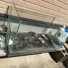 水槽と石
