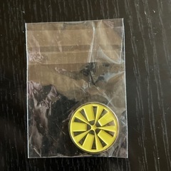 バドミントン　トスコイン