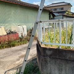 ハセガワ製1連ハシゴの画像