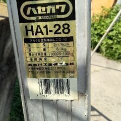 ハセガワ製1連ハシゴの画像