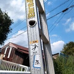 ハセガワ製1連ハシゴの画像