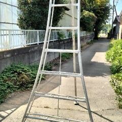 3脚ハシゴ（値下げしました）の画像