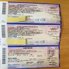 第106回全国高等学校野球選手権大会 8月19日 2席