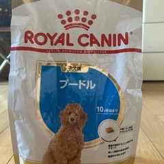 ロイヤルカナン　プードル　子犬用1.5キロ