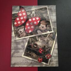 ディズニーシーグリーティングトレイルズ記念品の画像