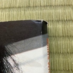 山崎まさよし「Nights with one knight」の画像