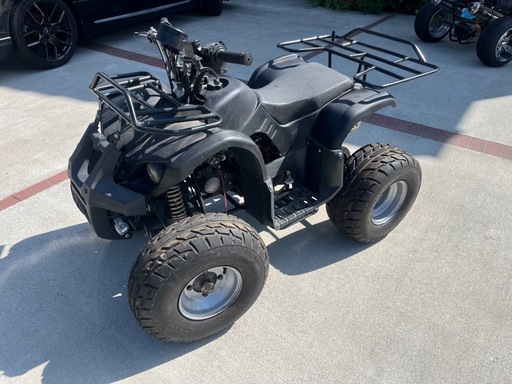 【決まりました】中華バギー　おまけつき！