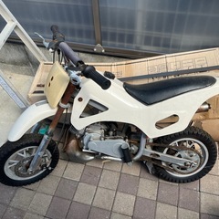 【決まりました】中華バギー　おまけつき！の画像