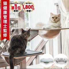 猫　ハンモック