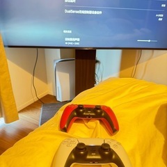 PS5ディスクライブ版の画像