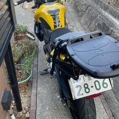 [一時受付停止] SYM T2 250 の画像