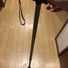 歩行杖　つえの画像