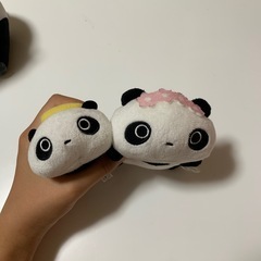 パンダのセットの画像