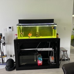 120センチ水槽2台小物