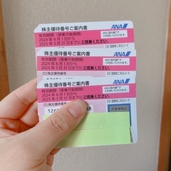 ANA 株主優待　3枚　飛行機割引　買い物割引 