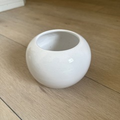 植木鉢　信楽焼　陶器　観葉植物の画像