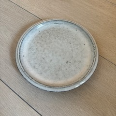 植木鉢　信楽焼　陶器　観葉植物の画像