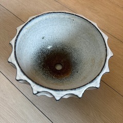 植木鉢　信楽焼　陶器　観葉植物の画像