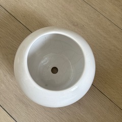植木鉢　信楽焼　陶器　観葉植物の画像