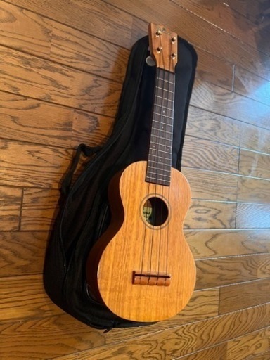 楽器 弦楽器、ギター