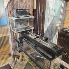 【決まりました】GEX水槽 60cmの画像