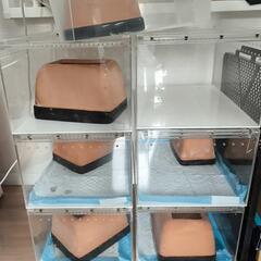 レプタイルBOX シェールター