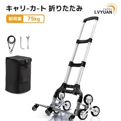 キャリーカートの画像