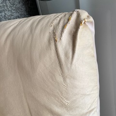 ソファ　無料　　ふかふかの画像
