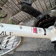 ルイガノ LOUIS GARNEAU J24 Cross 子供自転車 24インチ の画像