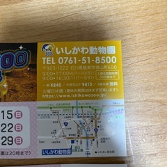 いしかわ動物園　子ども　無料券の画像
